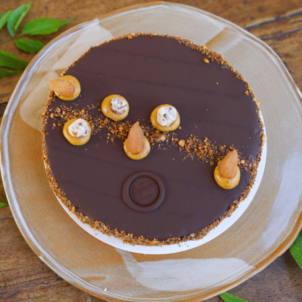 Galet Praliné & Chocolat Noir