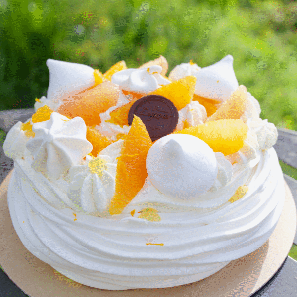 Pavlova aux agrumes